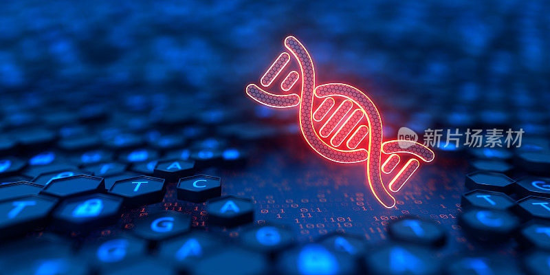 六边形外壳，测序ATGC和发光的DNA图标。双螺旋结构。核酸序列。遗传研究。将基因组代码转换为数字形式。3 d演示。